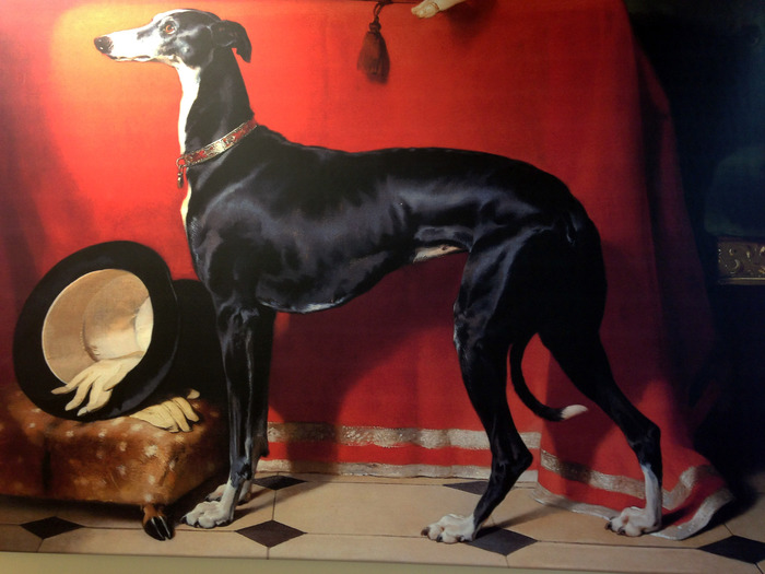 "Eos", Prince Albert's Greyhound. A copy of this painting hangs in the Trust's Head Office.